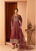 Luxury Embroidered Anarkali Pakistani Suit – Wedding & Bridal Party Wear