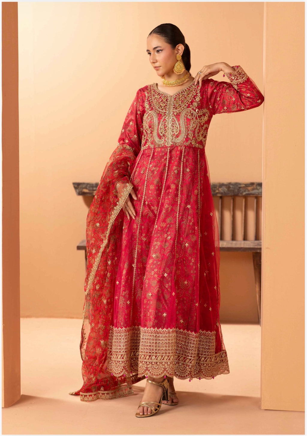 Luxury Embroidered Anarkali Pakistani Suit – Wedding & Bridal Party Wear