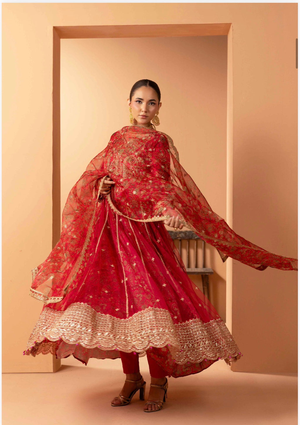 Luxury Embroidered Anarkali Pakistani Suit – Wedding & Bridal Party Wear