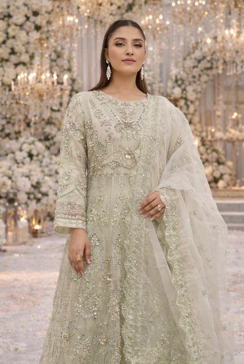 VANA Mint Green Embroidered Organza Maxi| Pakistani Designer Wedding Wear