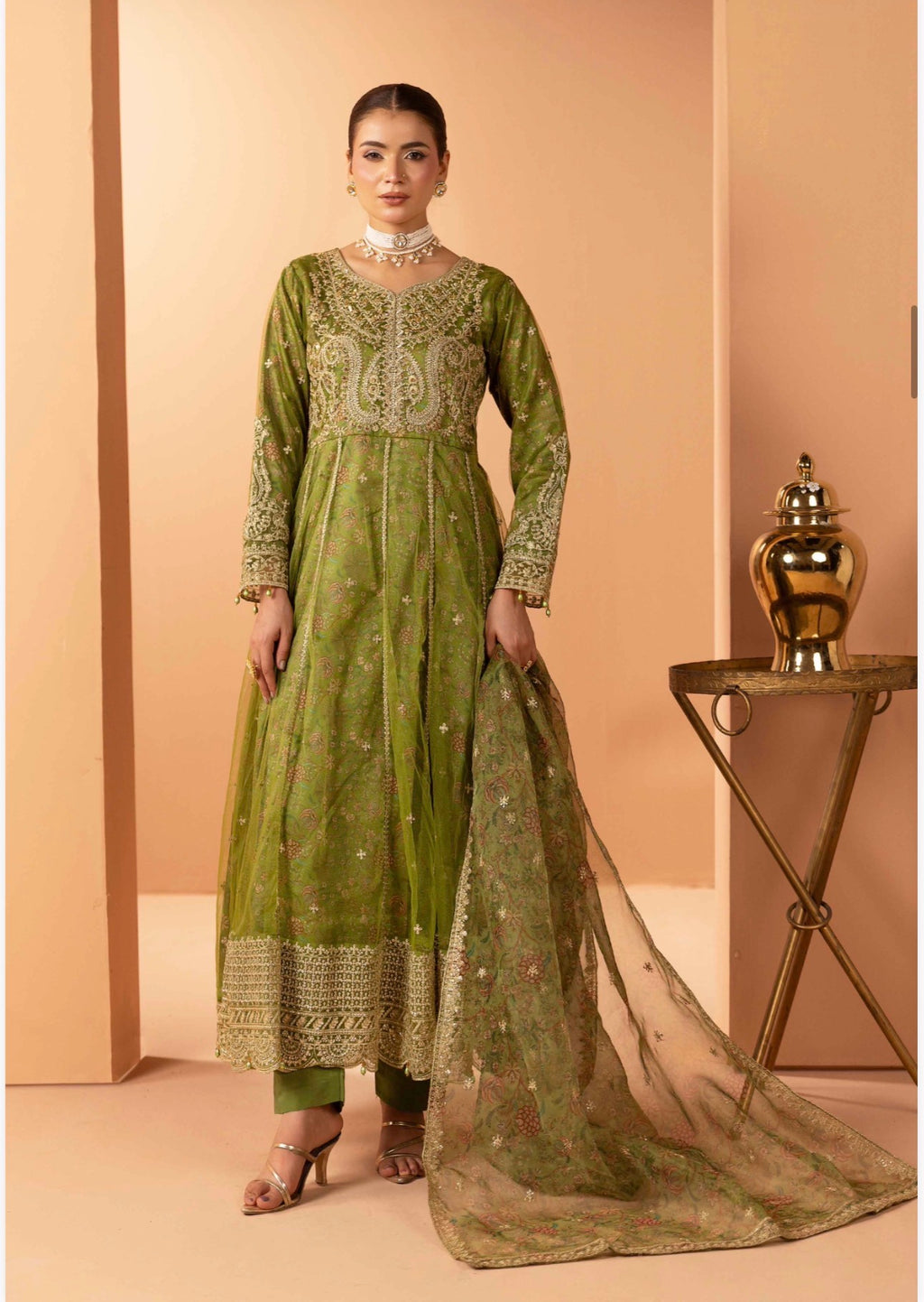 Luxury Embroidered Anarkali Pakistani Suit – Wedding & Bridal Party Wear
