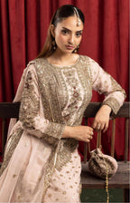 ASHIANA….heavy embroidered chiffon suit