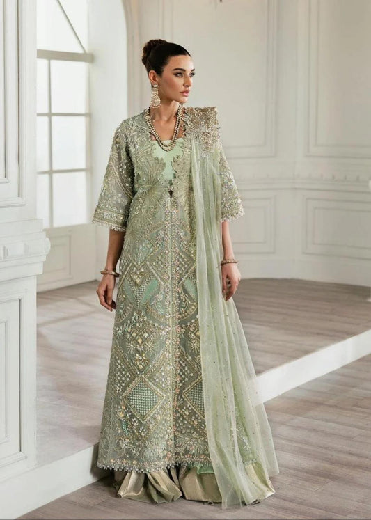 Crimson (inspired) wedding collection …beautiful heavy embroidered organza shirt with silk sharara and net embroidered duppatta…
