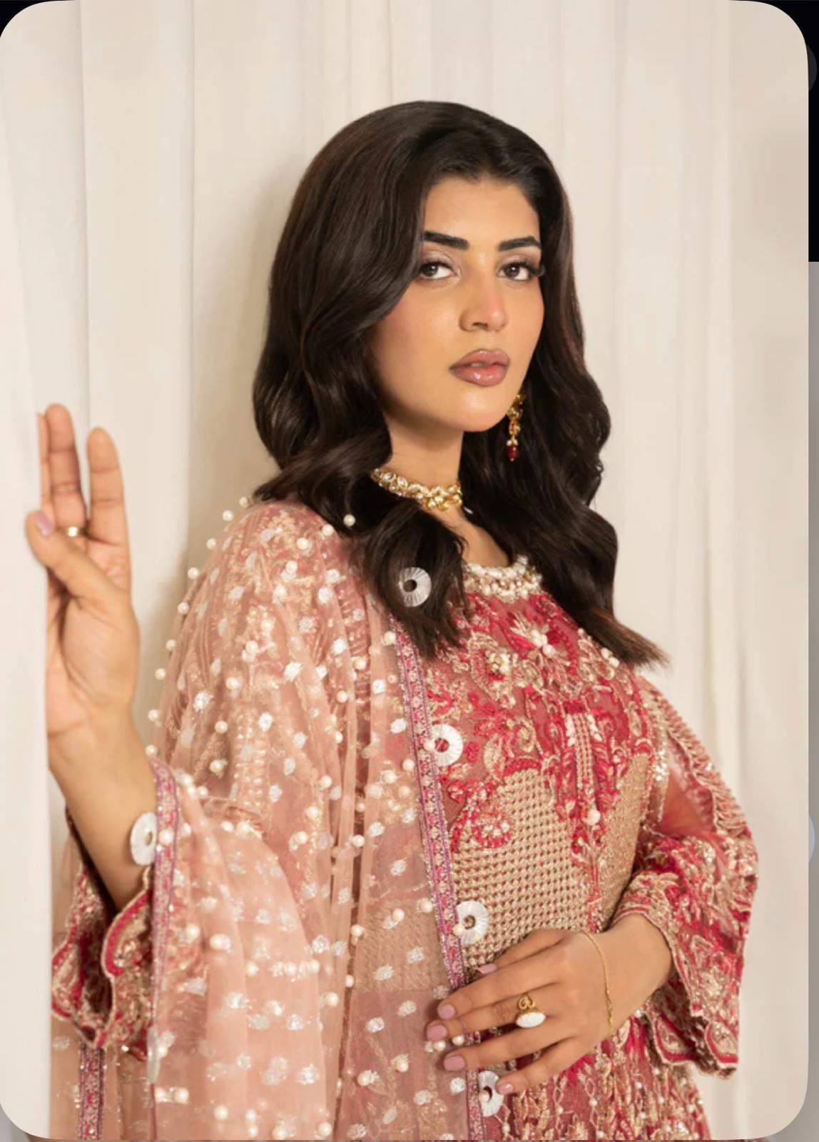 ZARKASH…..Luxury Embroidered Net Maxi Dress
