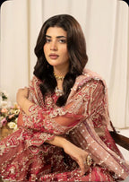 ZARKASH…..Luxury Embroidered Net Maxi Dress